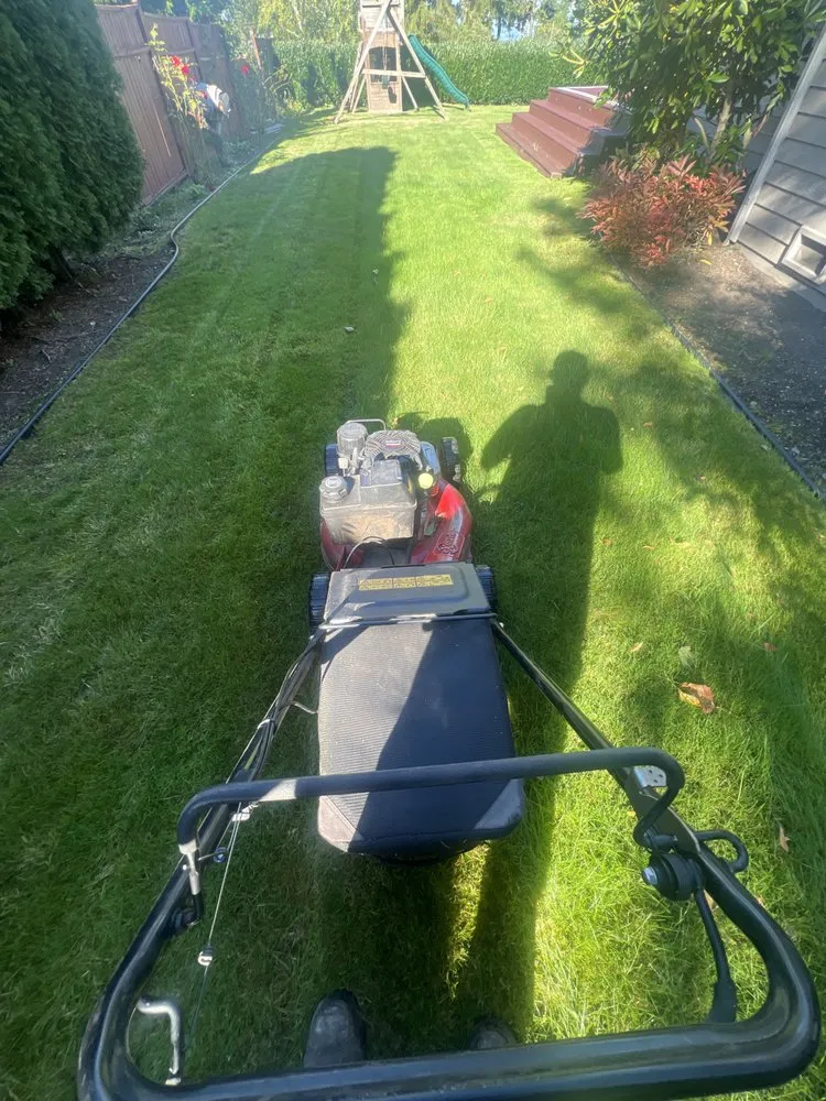 Local residential landscaping in Everett, WA by PNW Landscaping & more