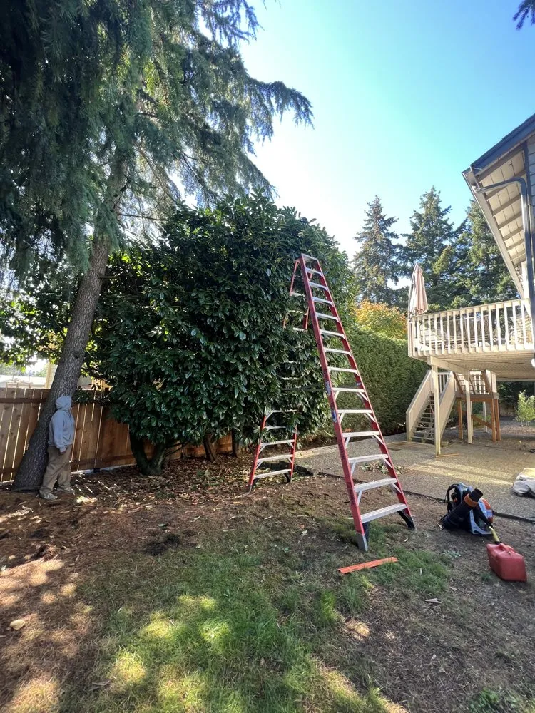 Reliable lawn mowing service with custom design across Everett, WA - PNW Landscaping & more