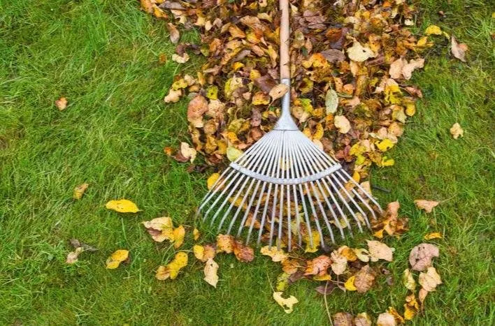 Affordable yard maintenance experts serving Seattle, WA - PNW Landscaping & Services