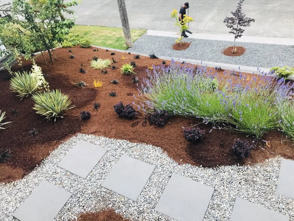 Expert yard cleanup service in Seattle, WA by PNW Landscaping & Services