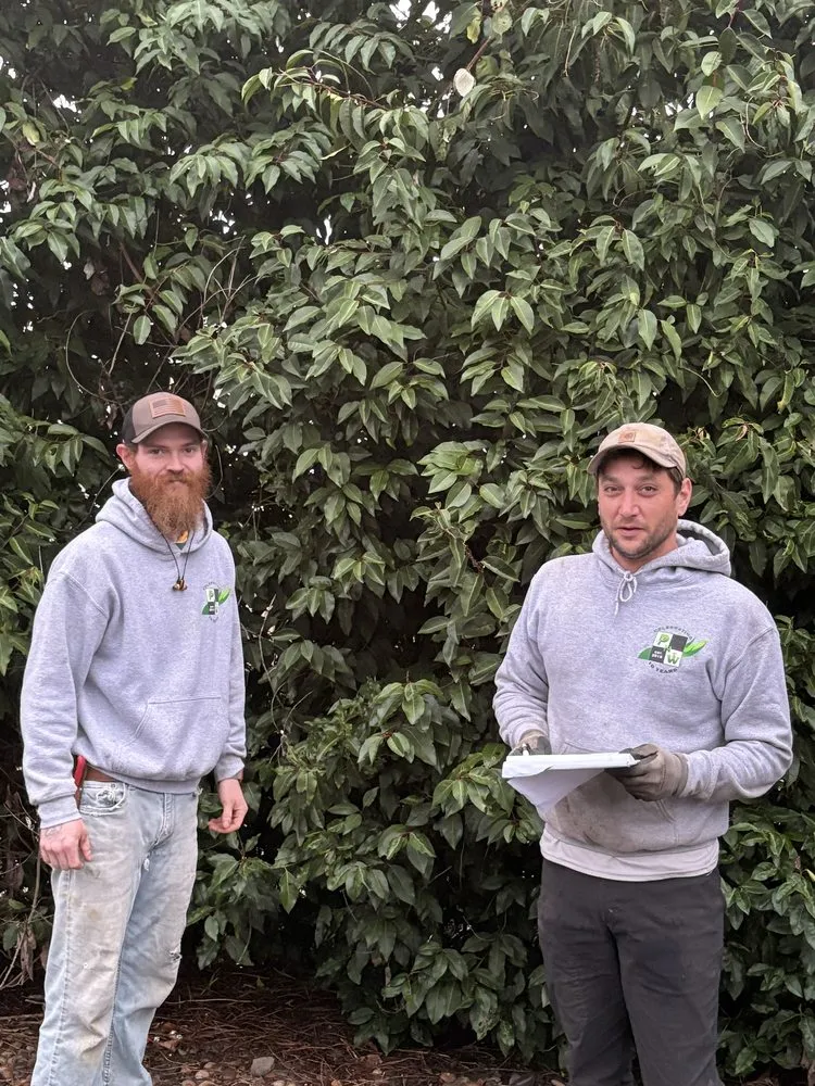 Affordable outdoor landscaping for year-round maintenance in Vancouver, WA by PNW Landscaping