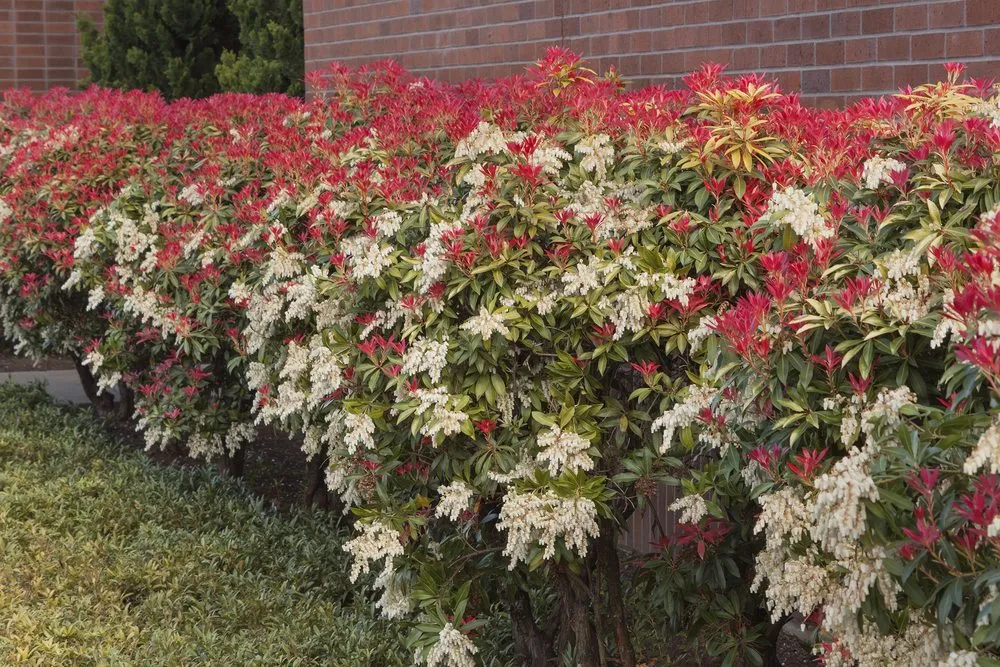 Reliable residential landscaping experts serving Vancouver, WA - PNW Landscaping