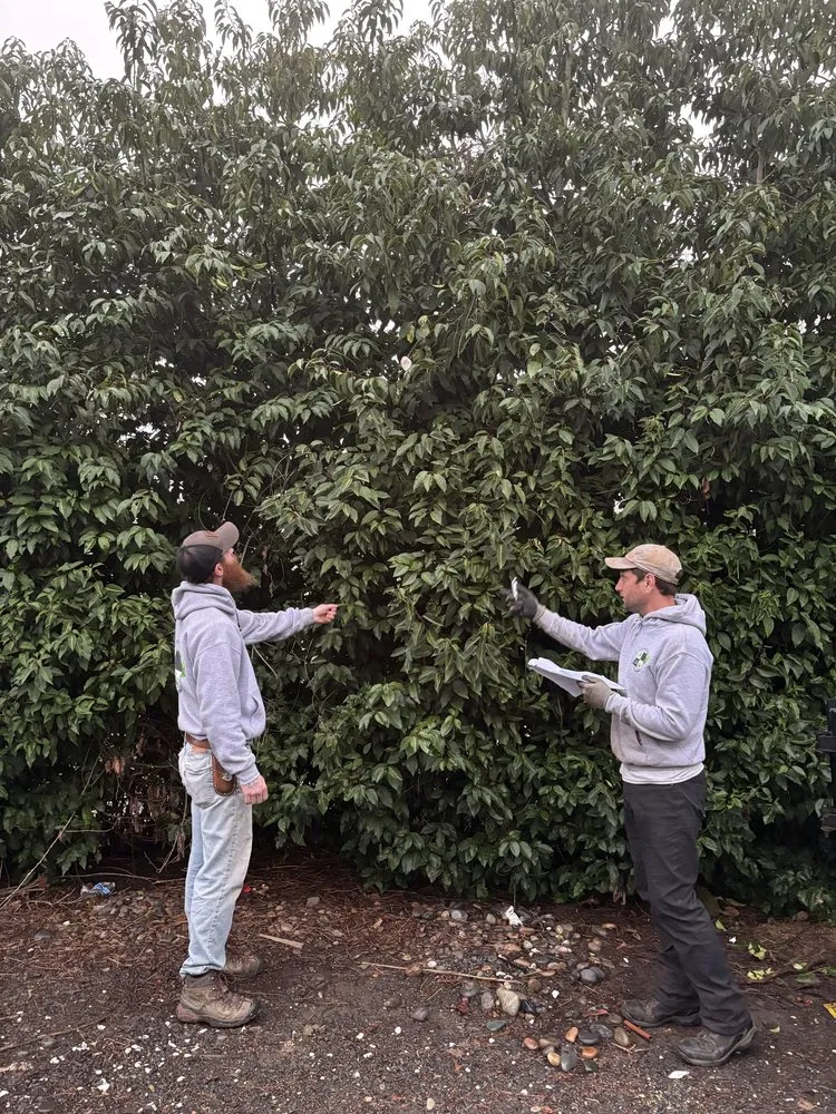 Custom lawn mowing service in Vancouver, WA by PNW Landscaping