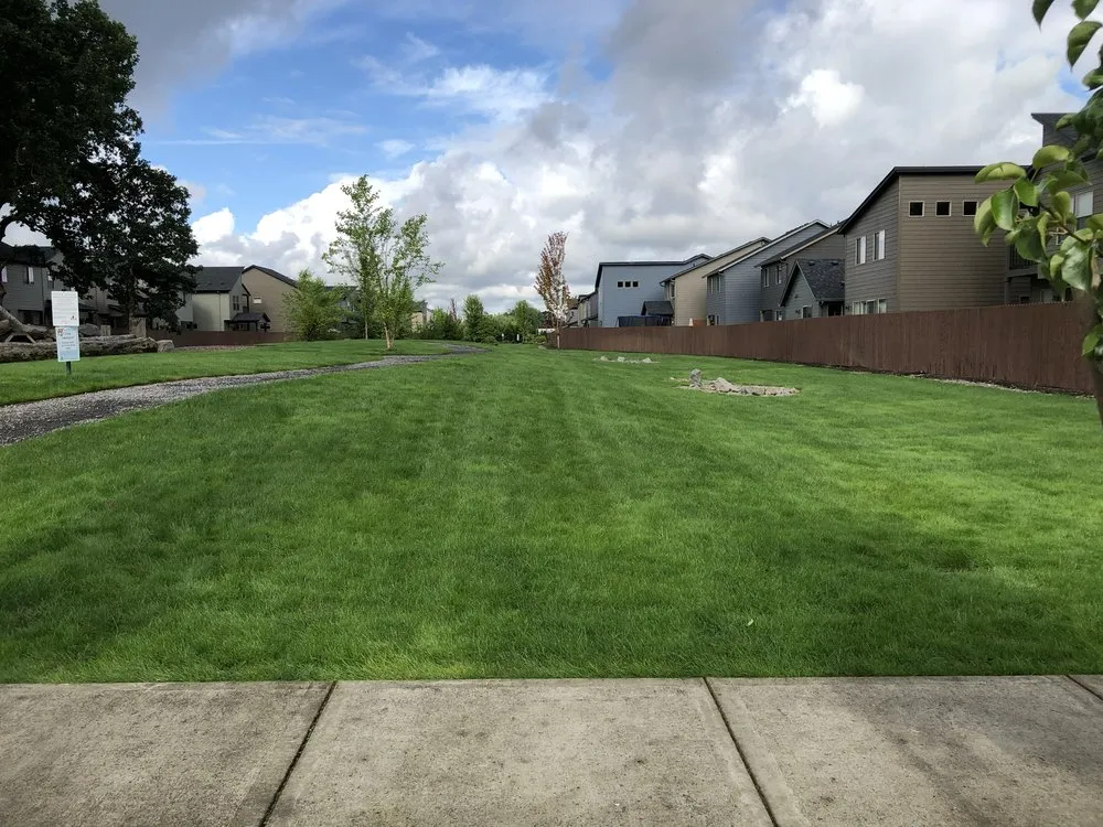 Custom yard cleanup service near you across Vancouver, WA - PNW Landscaping