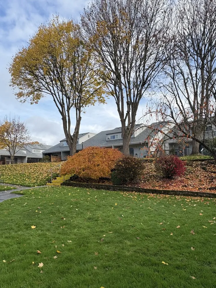 Expert landscaping services in Vancouver, WA by PNW Landscaping