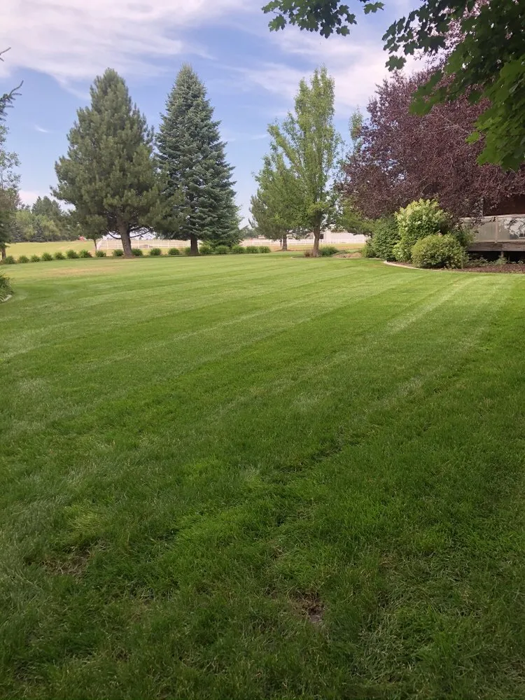 Local residential landscaping in Spokane, WA - PNW Lawncare