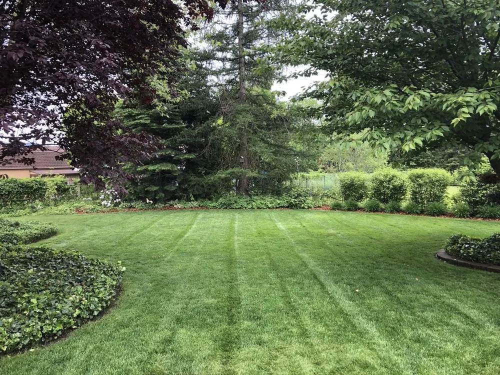 Custom yard cleanup service in Spokane, WA by PNW Lawncare