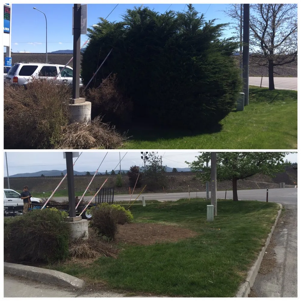 Affordable yard cleanup service for residential properties in Spokane, WA by PNW Lawncare