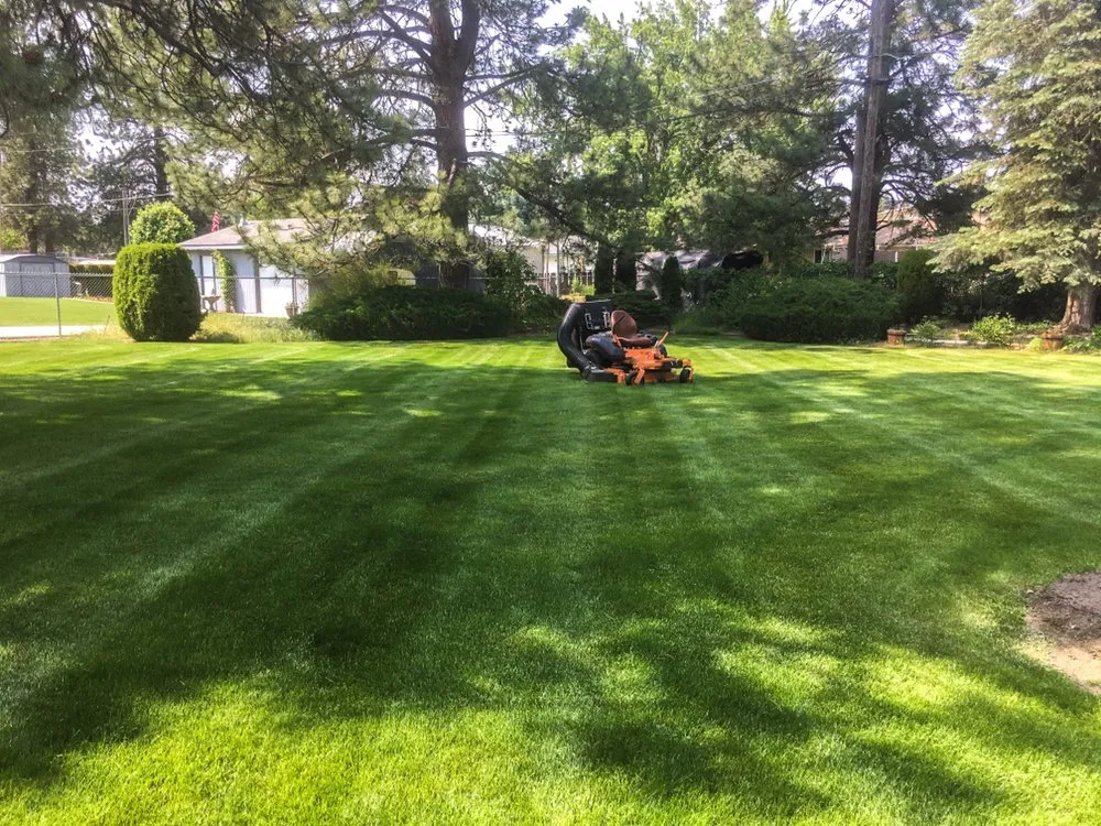 Reliable yard cleanup service near you across Spokane, WA - PNW Lawncare