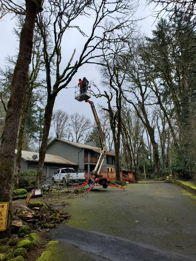 Custom lawn mowing service in Salem, OR by PNW Maintenance Services