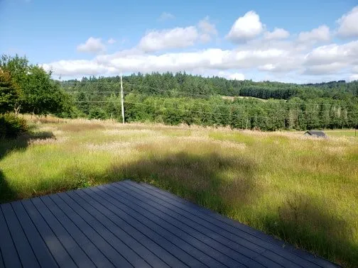 Affordable yard cleanup service with custom design in Salem, OR by PNW Maintenance Services