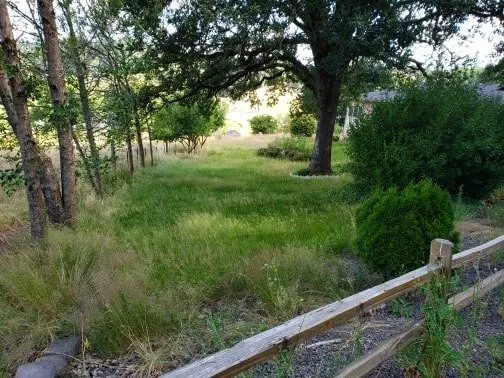 Custom outdoor landscaping in Salem, OR by PNW Maintenance Services