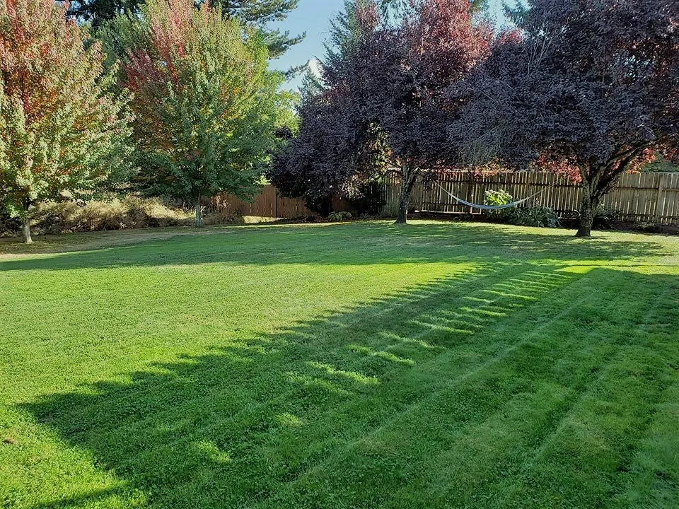 Expert outdoor landscaping with custom design in Salem, OR by PNW Maintenance Services
