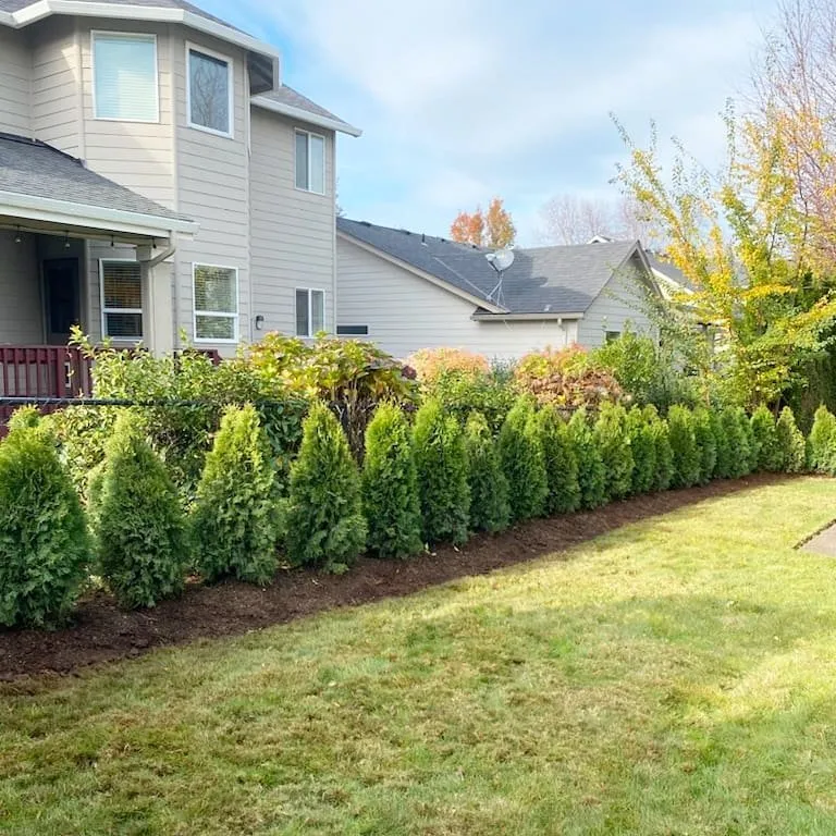 Reliable landscaping services in Salem, OR by PNW Maintenance Services