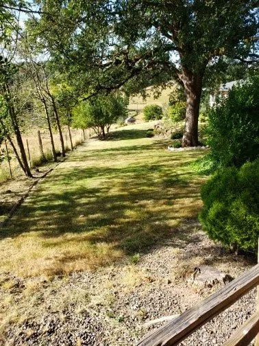 Expert lawn mowing service in Salem, OR by PNW Maintenance Services