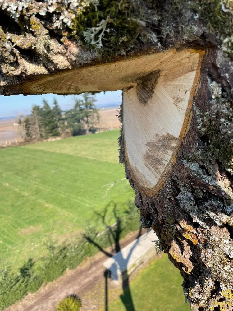 Reliable yard maintenance for residential properties across Salem, OR - PNW Maintenance Services