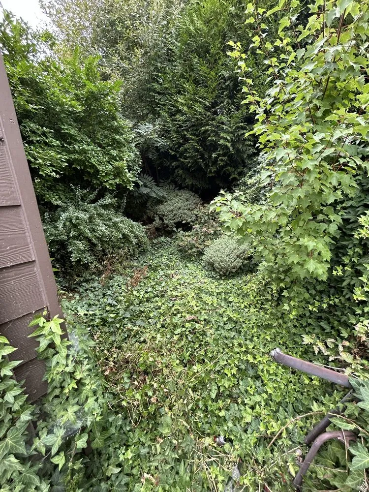 Custom landscape installation in Sherwood, OR - PNW Upstanding