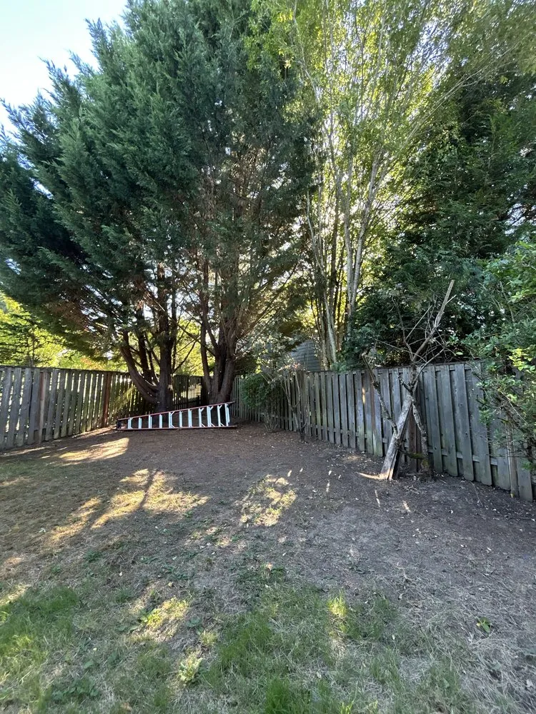 Top-rated landscape installation for year-round maintenance in Sherwood, OR by PNW Upstanding