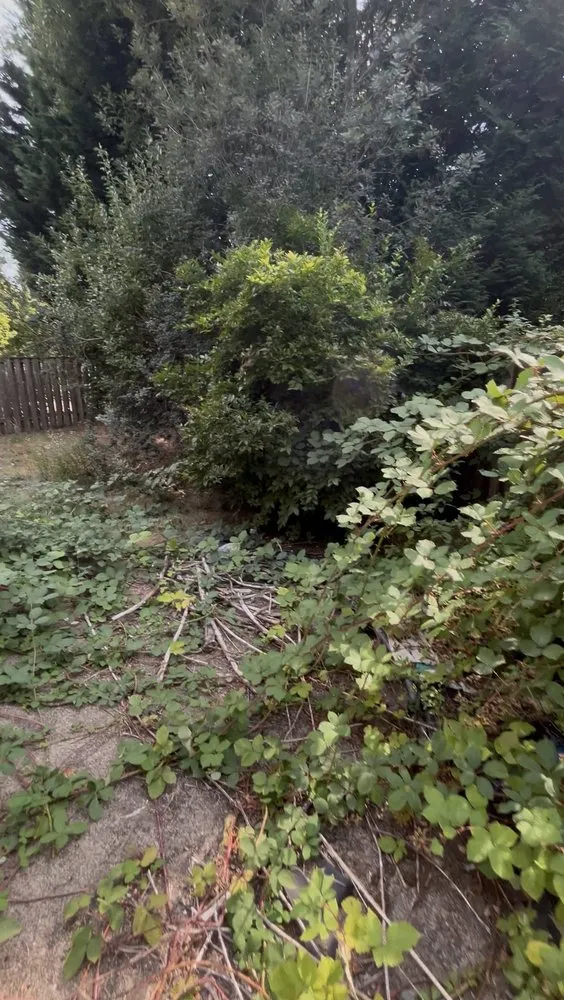 Affordable landscape design for residential properties across Sherwood, OR - PNW Upstanding