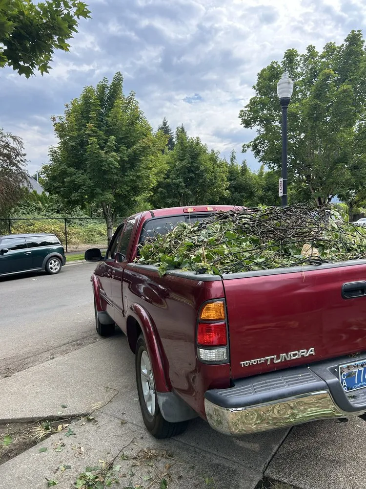 Affordable lawn care service for year-round maintenance across Sherwood, OR - PNW Upstanding