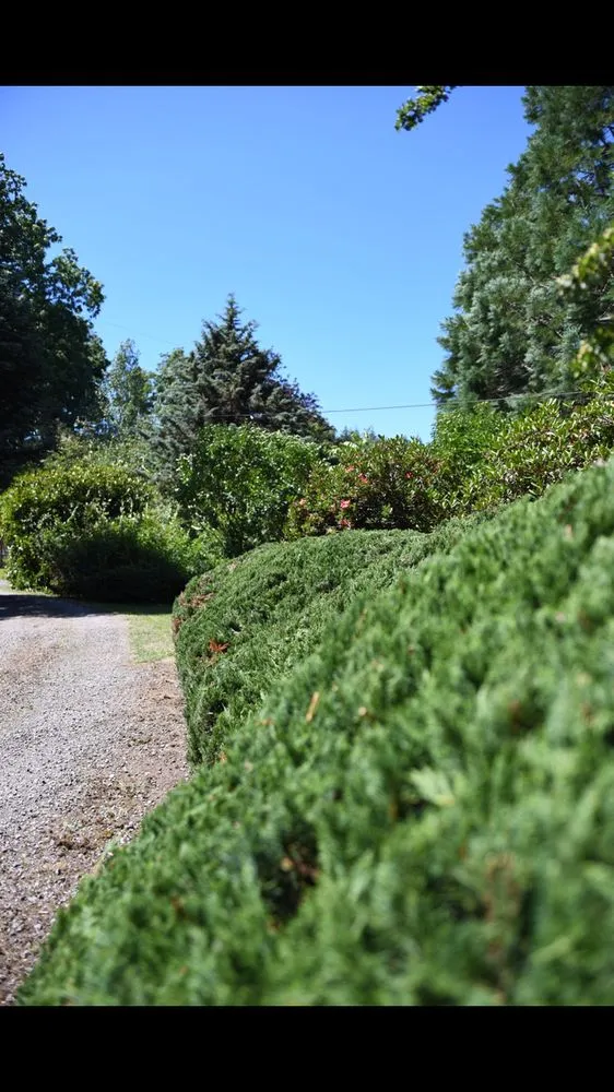 Custom landscape design for homes in Olympia, WA by PNW Yard Services