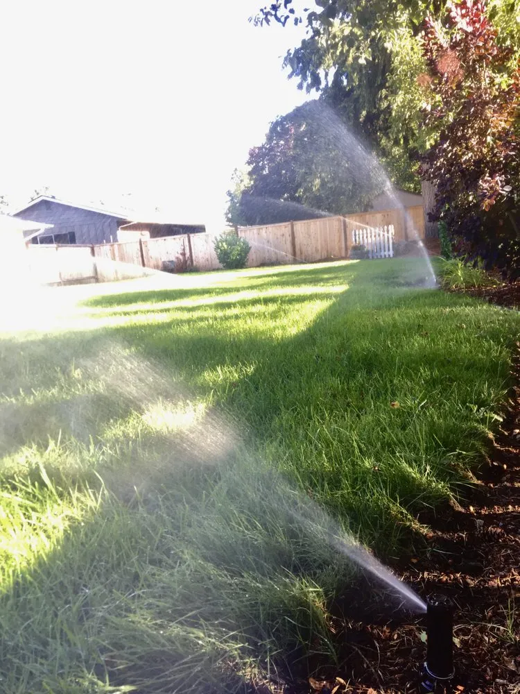 Professional landscape installation in Olympia, WA - PNW Yard Services