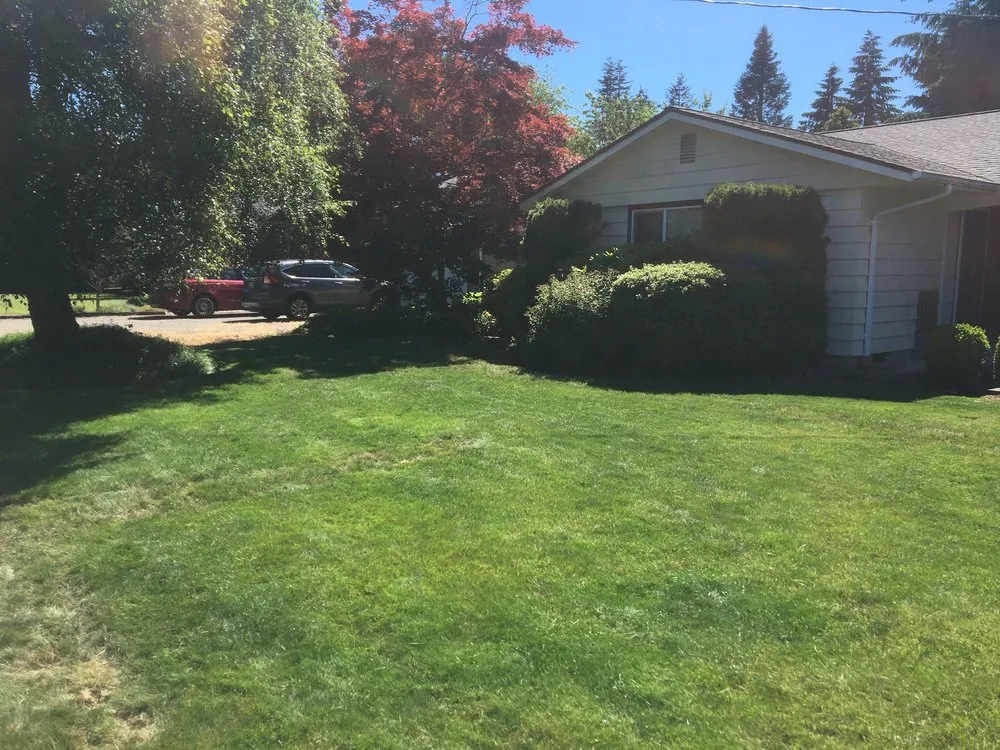 Reliable lawn mowing service in Olympia, WA by PNW Yard Services