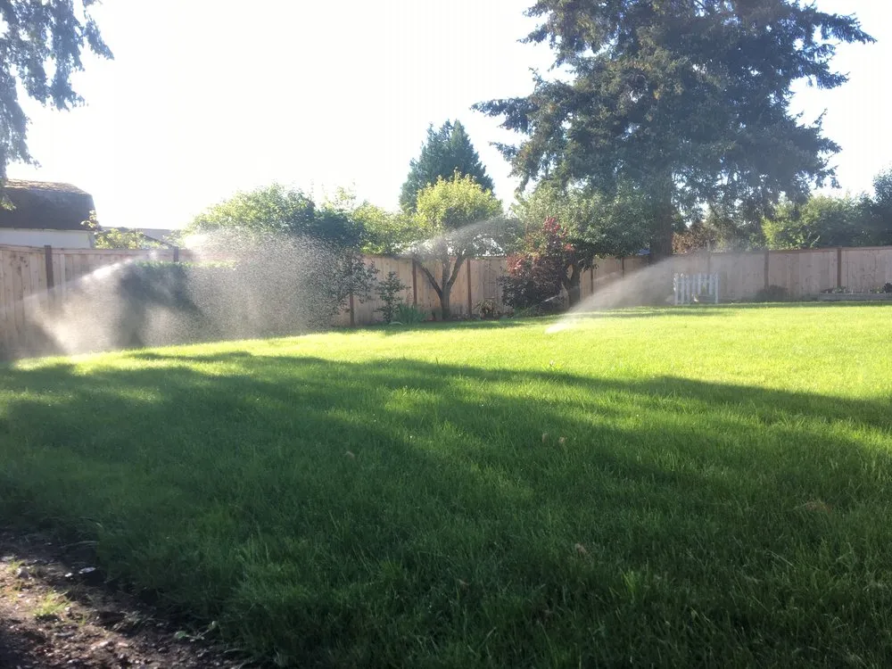 Top-rated yard cleanup service for outdoor upgrades in Olympia, WA by PNW Yard Services