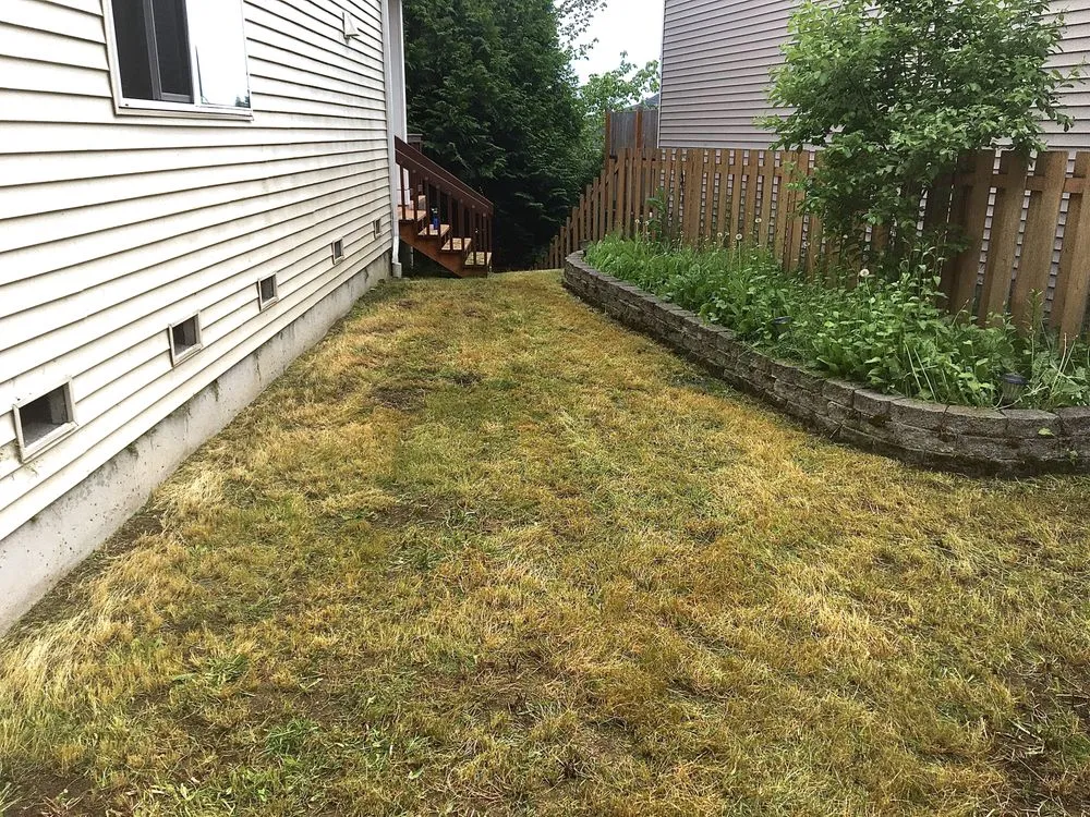 Local landscape installation for residential properties in Olympia, WA by PNW Yard Services