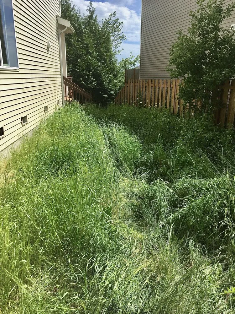 Affordable landscaping services in Olympia, WA - PNW Yard Services