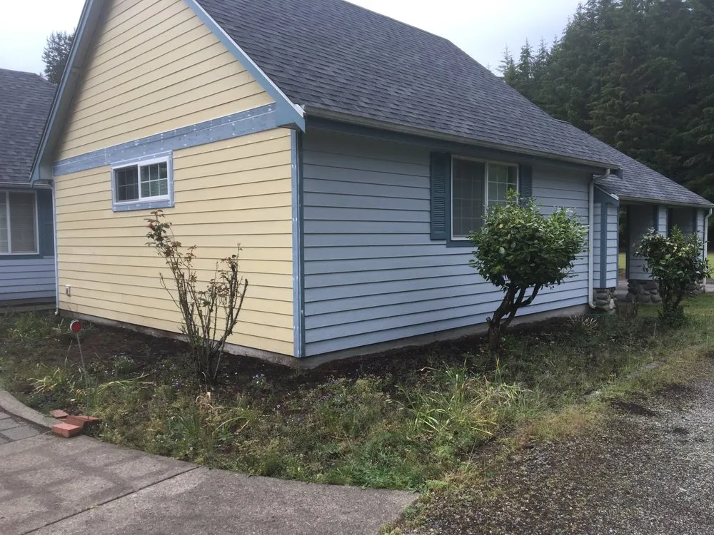 Local yard cleanup service in Olympia, WA - PNW Yard Services