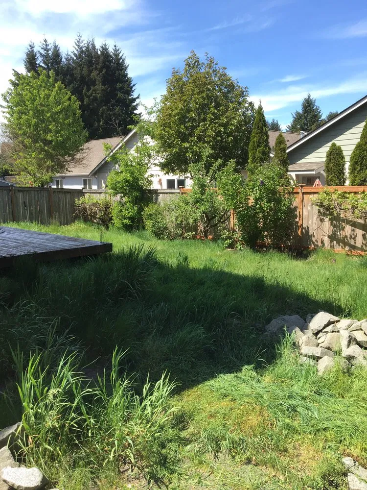 Local yard cleanup service experts serving Olympia, WA - PNW Yard Services
