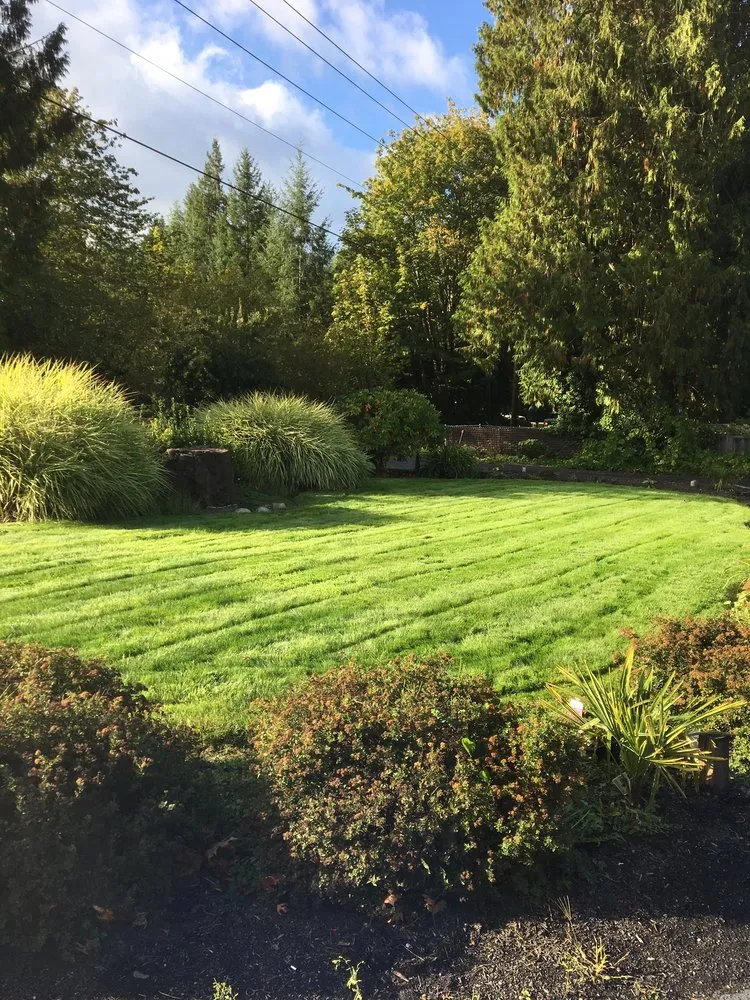 Trusted garden landscaping for residential properties in Olympia, WA by PNW Yard Services