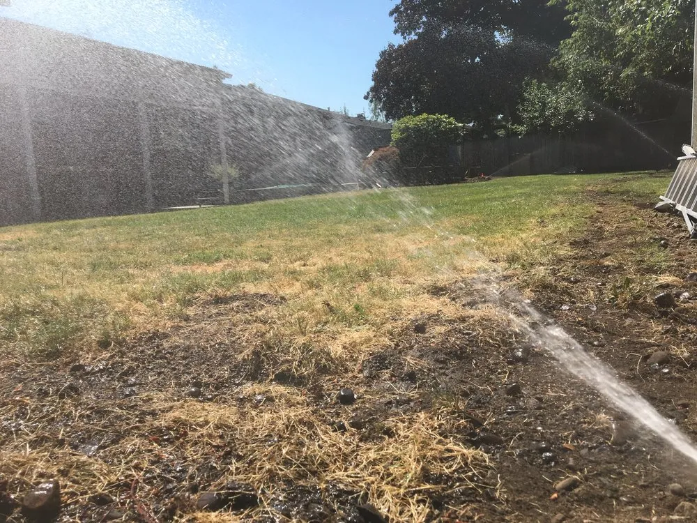 Expert landscaping services for beautiful yards in Olympia, WA by PNW Yard Services