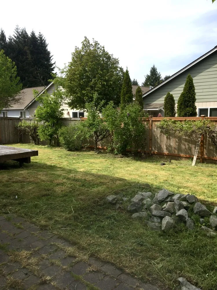 Affordable lawn care service experts serving Olympia, WA - PNW Yard Services