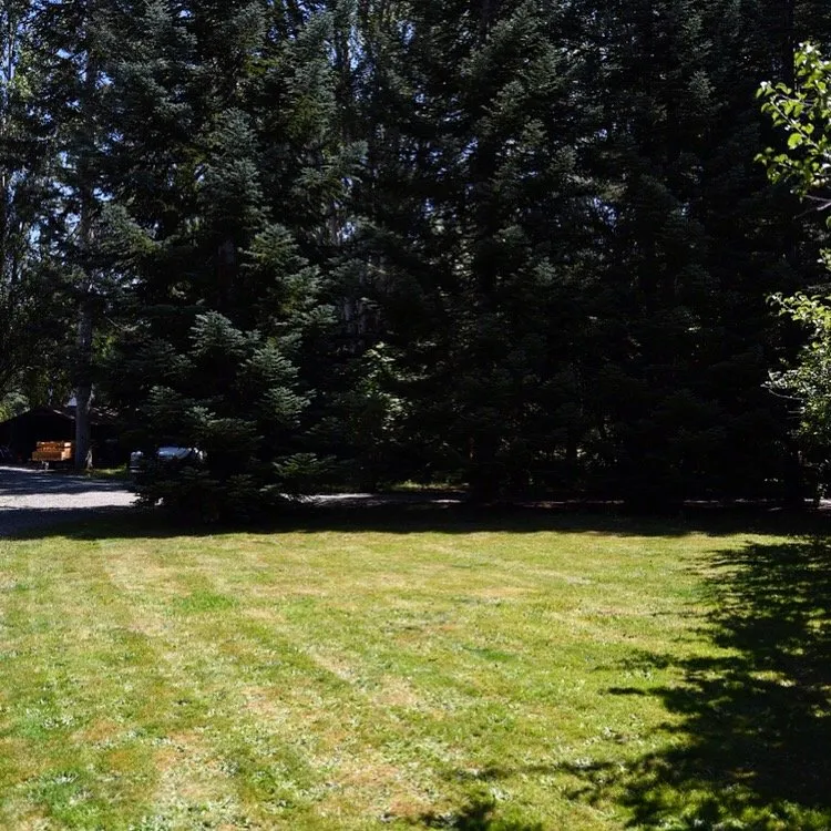 Top-rated outdoor landscaping for beautiful yards across Olympia, WA - PNW Yard Services