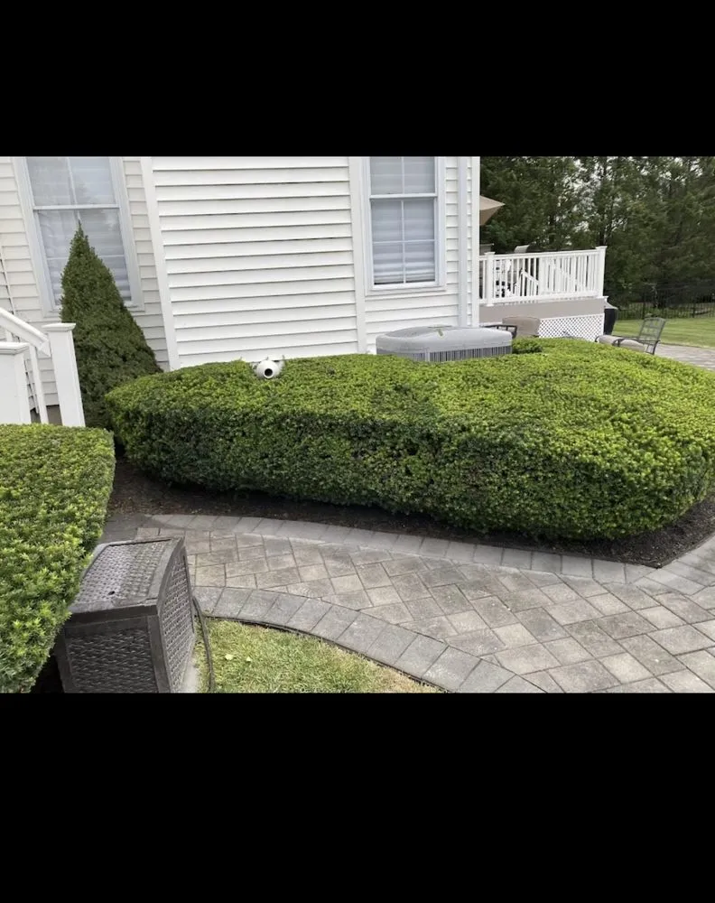 Custom yard cleanup service experts serving Tinton Falls, NJ - P&O Landscaping