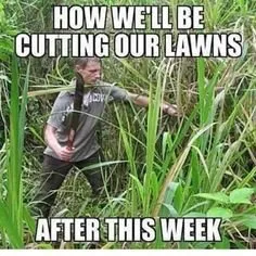 Reliable garden landscaping for beautiful yards in Jackson, MS by Po’boy Basic Cut Lawn Service