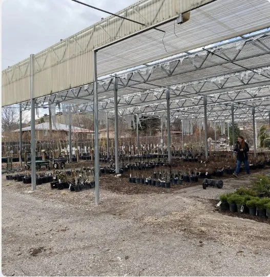 Top-rated landscaping services with custom design across Pocatello, ID - Pocatello Green House