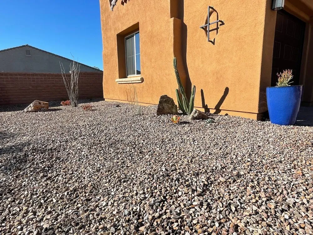 Local landscape design in Tucson, AZ - Pochitos Landscaping