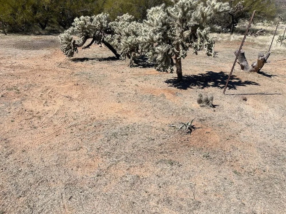 Custom lawn care service in Tucson, AZ - Pochitos Landscaping