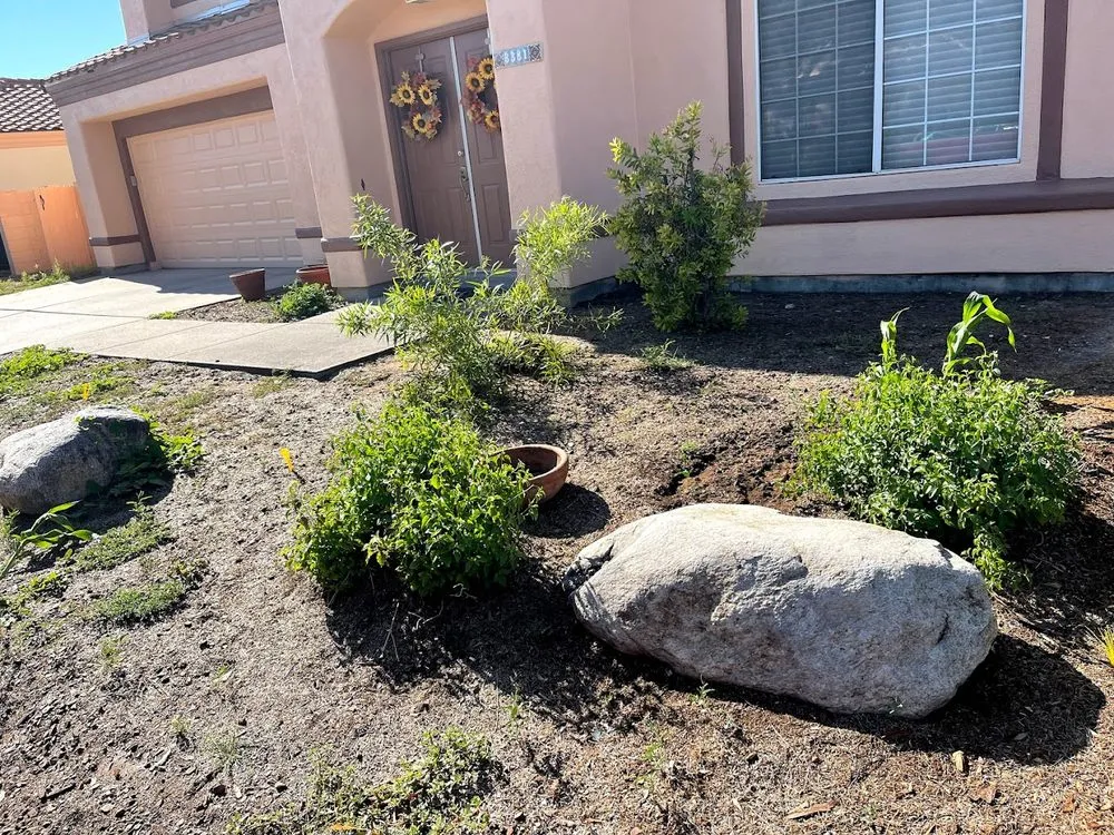 Professional landscaping services in Tucson, AZ by Pochitos Landscaping