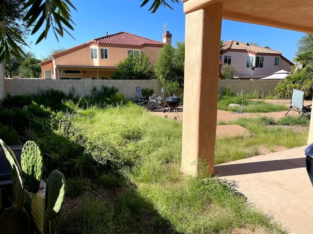 Reliable garden landscaping experts serving Tucson, AZ - Pochitos Landscaping
