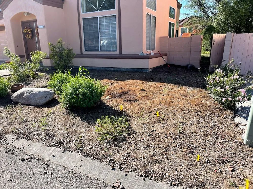 Local yard maintenance for outdoor upgrades across Tucson, AZ - Pochitos Landscaping