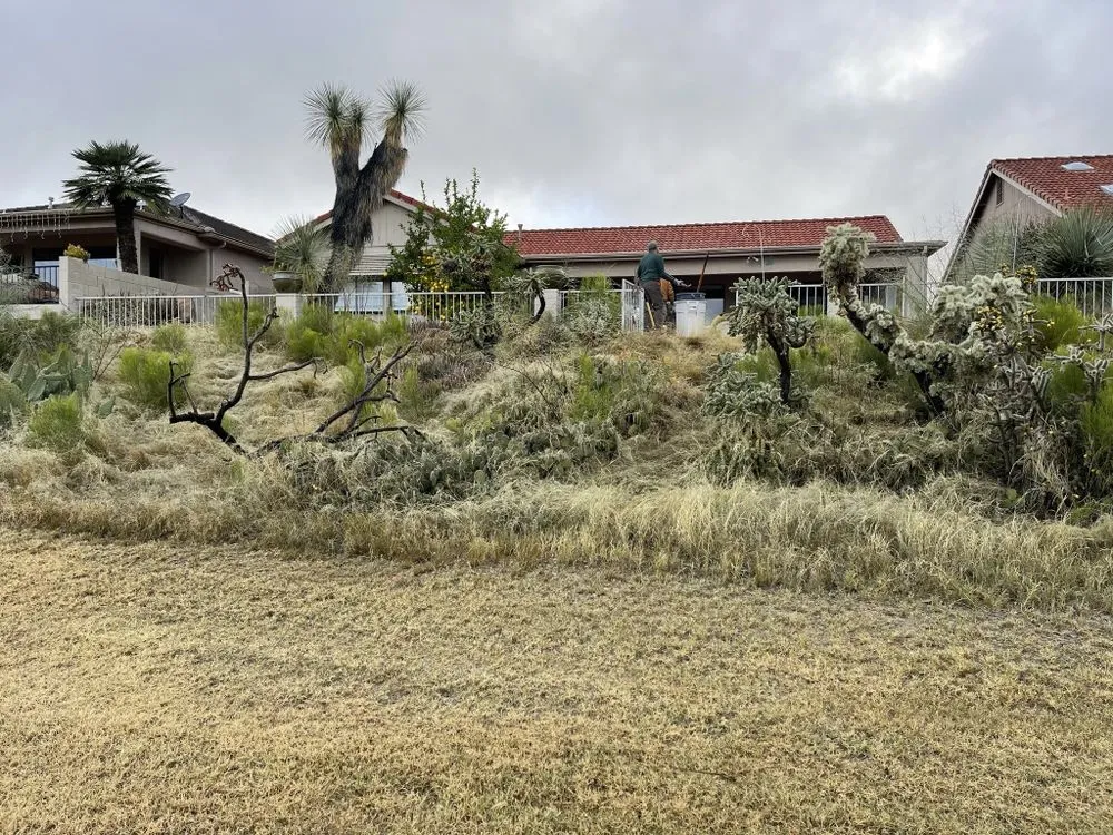 Local outdoor landscaping experts serving Tucson, AZ - Pochitos Landscaping