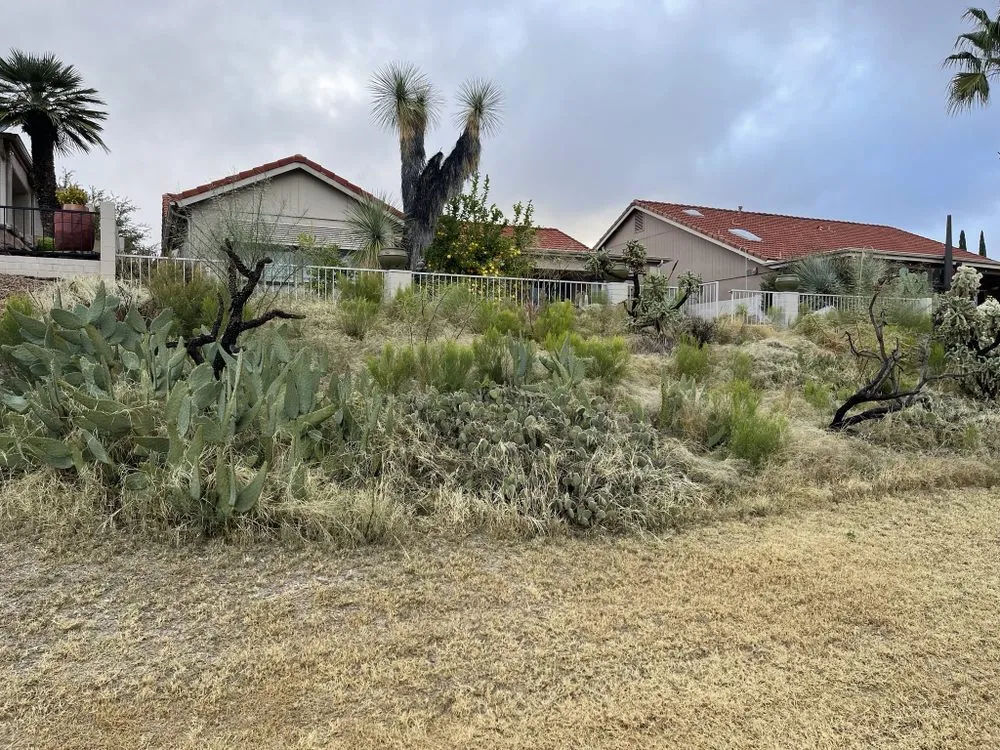 Affordable lawn mowing service in Tucson, AZ by Pochitos Landscaping