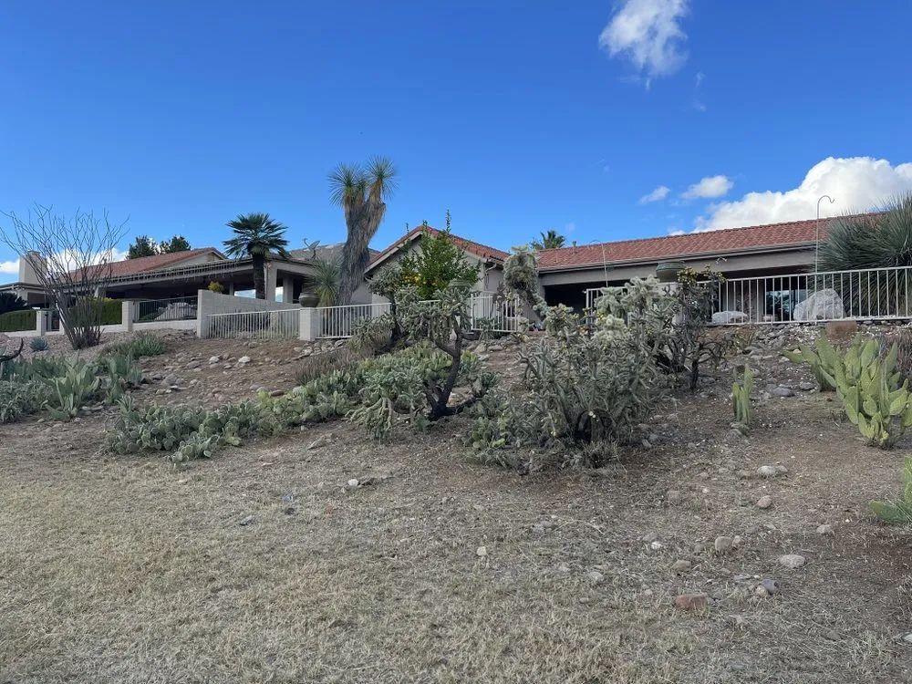 Reliable yard cleanup service in Tucson, AZ by Pochitos Landscaping