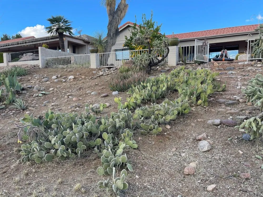 Expert yard cleanup service for outdoor upgrades across Tucson, AZ - Pochitos Landscaping