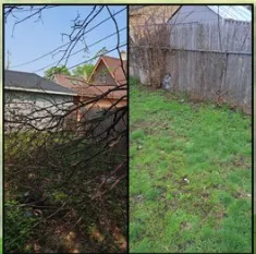 Top-rated lawn care service in Milwaukee, WI - Pocket Change