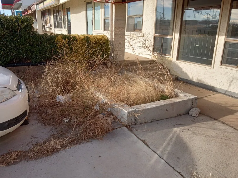 Professional lawn mowing service for beautiful yards across Dewey-Humboldt, AZ - Pocket Change Yard Service